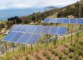 New solar parks in Cyprus and their features: what you need to know