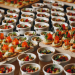 Miami Catering and Event Planning: A Modern Approach to Food and Service