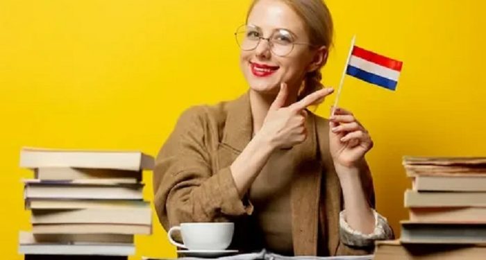 Особенности нидерландского языка и его достоинства для общения и учебы